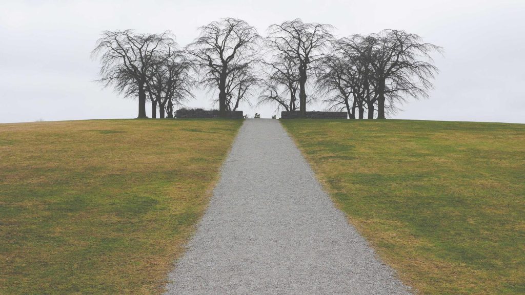 Rovaniemen liittymäkilpailutuksen trendit 2025: Miten alueen yritykset voivat hyötyä?