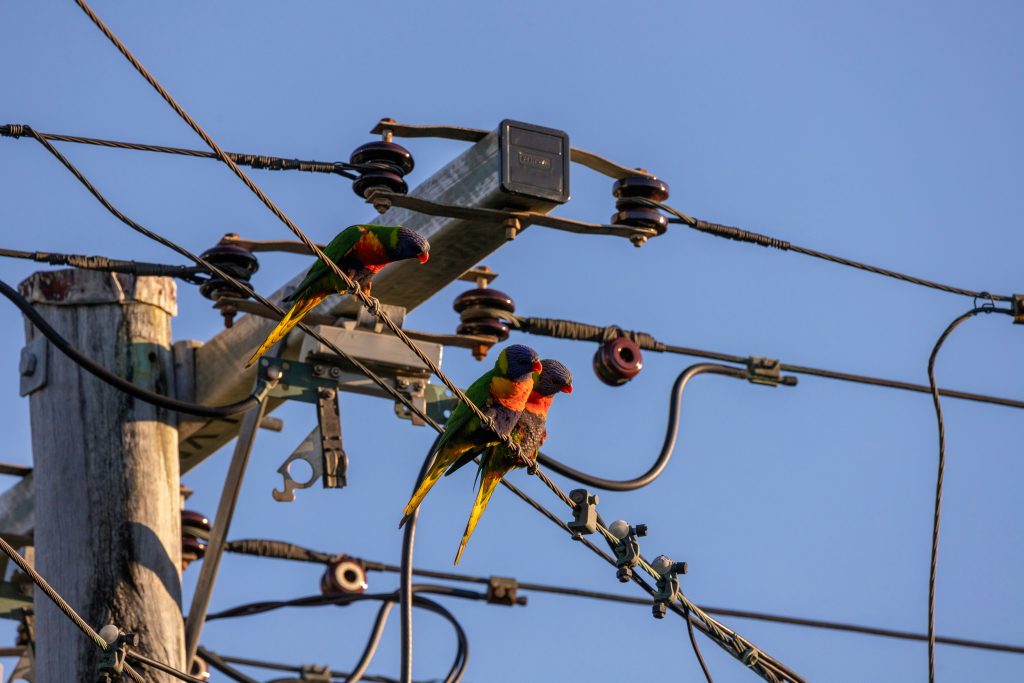 Sähkösopimusten kilpailutus Oulussa – näin löydät parhaat tarjoukset