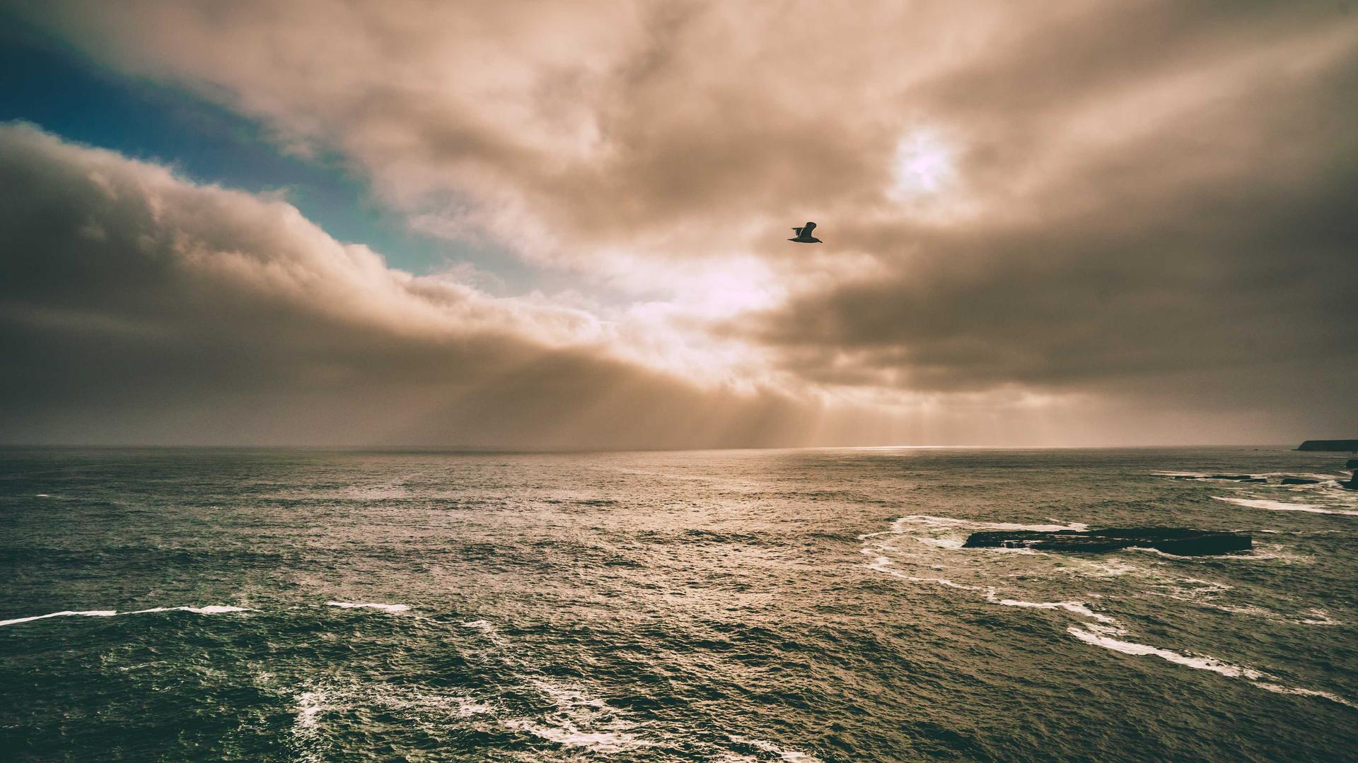 Vakuutuskilpailutus pk-yritykselle tarjousvertailu asiakirjoilla